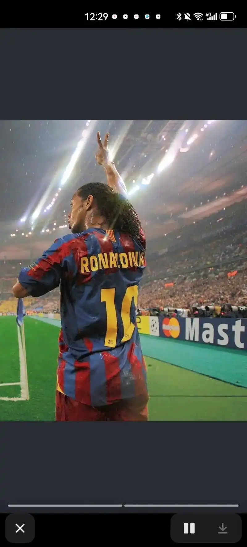 他们倾向于 他们倾向于