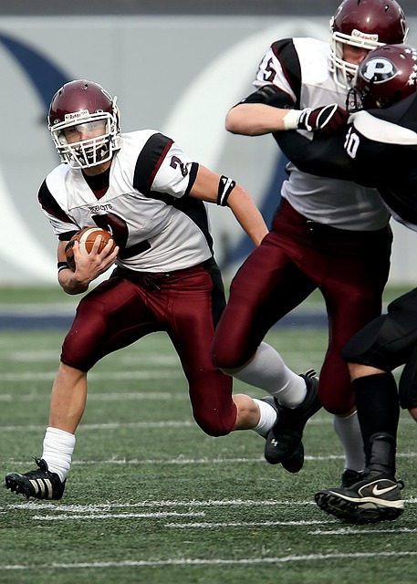 了更强的翅 了更强的翅